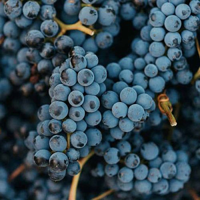 Технический в Петрозаводске